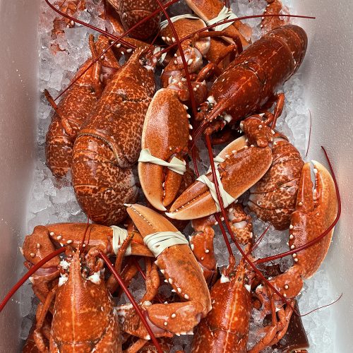 pink pepper catering cheshire 10